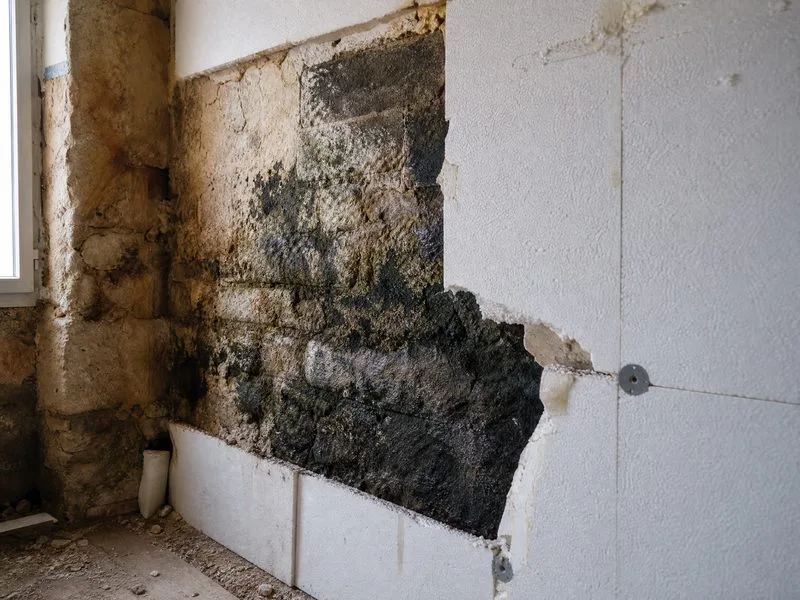 mauvaise rénovation isolation mérule moisissures mur ancien malfaçon